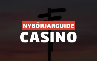Casinoguide för nybörjare - steg 1